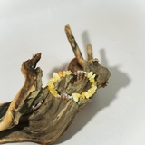 Vòng Tay Đá Vụn MàI Bóng Tự Nhiên Mix Hạt Chuyển Vận Cao Cấp TATINA GEMS. (Tặng Bộ Hộp Đựng Sang Trọng)
