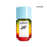 Loewe Paula’s Ibiza