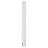 Thước Deli 6230 30cm (20)