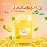 Nước rửa chén BÔNG hương Chanh Bạc Hà