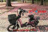 Xe điện Sonsu Ruby 18 2026 màu Hồng