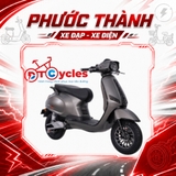 Xe điện JVC VERAS màu Xám Nhám