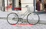 Xe đạp đường phố Martin 107 màu Bạc