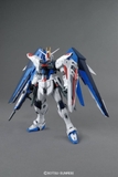 MG 1/100 FREEDOM GUNDAM Ver.2.0