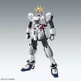 MG 1/100 NARRATIVE GUNDAM C-PACKS