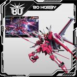 HG 1/144 INFINITE JUSTICE GUNDAM TypeⅡ