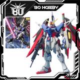 MG 1/100 DESTINY GUNDAM