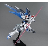 MG 1/100 FREEDOM GUNDAM Ver.2.0