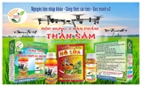 Thuốc trừ sâu BỘ BA THẦN SẤM