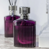 đèn xông tinh dầu Alpha Plum Maison Berger ảnh 3