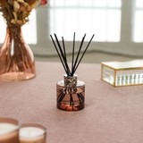 lọ tinh dầu khuếch tán hương Agaves Garden Joy Maison Berger ảnh 2