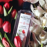 tinh dầu đèn xông hương Hibiscus Love Maison Berger ảnh 4