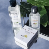 tinh dầu đèn xông hương Delicate White Musk Maison Berger ảnh 5