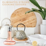 bộ đèn xông tinh dầu Starck Rose Maison Berger ảnh 5