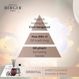 tinh dầu đèn xông hương Amber Elegance Maison Berger ảnh 3