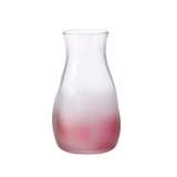 bình cắm hoa mini Aderia Tebineri ảnh 3