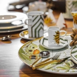 bộ ly uống coffee Amazōnia Vista Alegre ảnh 3