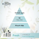 tinh dầu khuếch tán hương Citronella Maison Berger ảnh 2