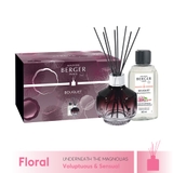 bộ lọ tinh dầu khuếch tán Plum Molecule Maison Berger ảnh 1
