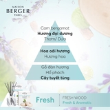 tinh dầu đèn xông hương Fresh Wood Maison Berger ảnh 2