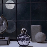bộ đèn xông tinh dầu Astral Grise Maison Berger ảnh 4