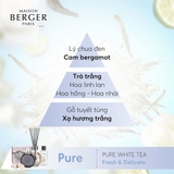 tinh dầu đèn xông hương Pure White Tea Maison Berger ảnh 3