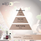 bộ đèn xông tinh dầu Prisme Noir Maison Berger ảnh 3