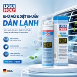 Khử mùi và diệt khuẩn dàn lạnh 75ml