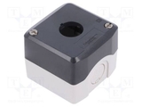 Hộp nút nhấn Schneider XALD01 phi 22mm