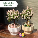 Dolla cổ thụ tăm nấm