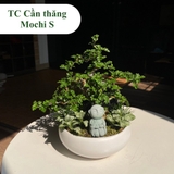 TC cần thăng mochi S