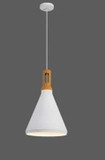 ĐÈN THẢ D250