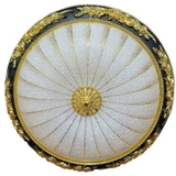 ĐÈN ỐP TRẦN D500