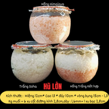 CB Hũ An Nhẫn Thuỷ - Muối Trắng + Hồng (Lớn)