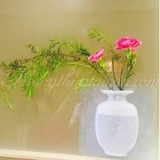 Bình hoa khô Dán tường