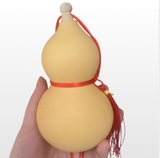 Hồ Lô Bầu Thật Mở Nắp 18-20cm