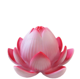 Đèn Hoa sen LED Hồng Sen Pin (12*8cm)