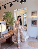 Light Vignette Dress