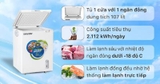 Tủ đông dàn đồng Funiki Hòa Phát 107L HPF AD6107G