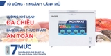 Tủ Đông Funiki Dàn Nhôm 252 Lít HPF AN6252 - Dung Tích Tốt, Bền Bỉ
