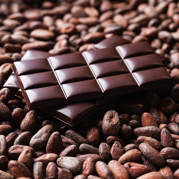 Từ chocolate bạn có thể làm được những món gì?
