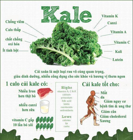 Bột cải Kale 50g