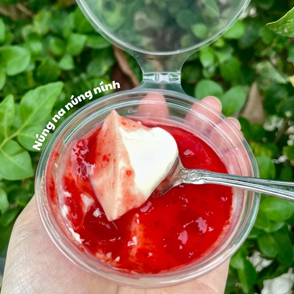 [SNL] Panna Cotta siêu mứt 3 vị (100g mứt mỗi vị )