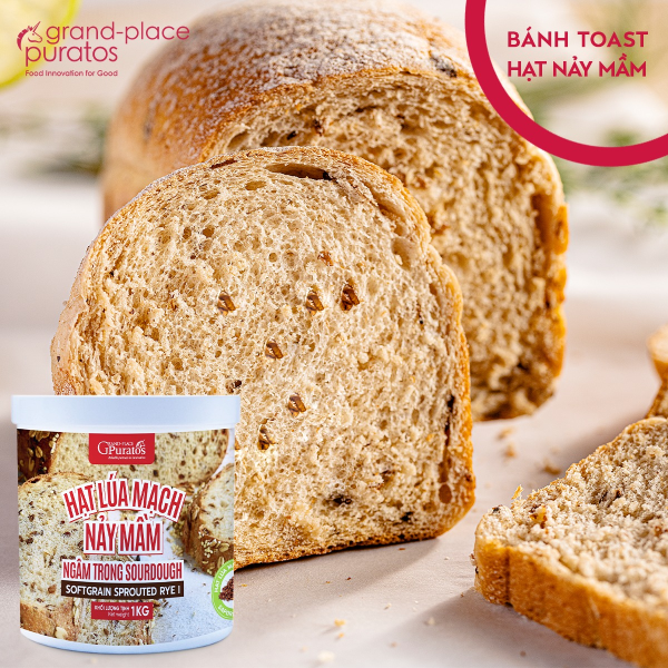 Hạt lúa mạch nảy mầm ngâm Sourdough xô 1kg