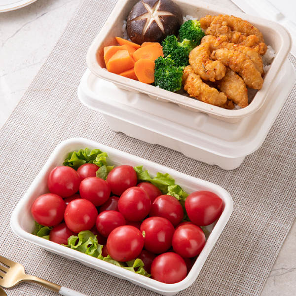 Hộp bã mía 1 ngăn chữ nhật nắp rời 500ml - 5 chiếc