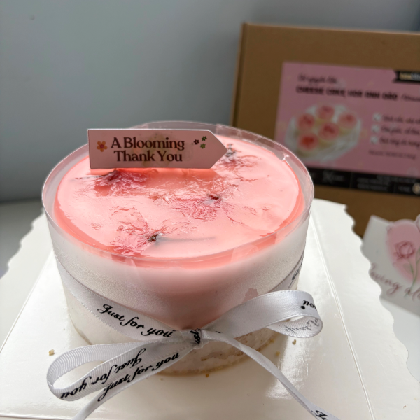 [SNL] Cheesecake hoa anh đào ( giao toàn quốc)