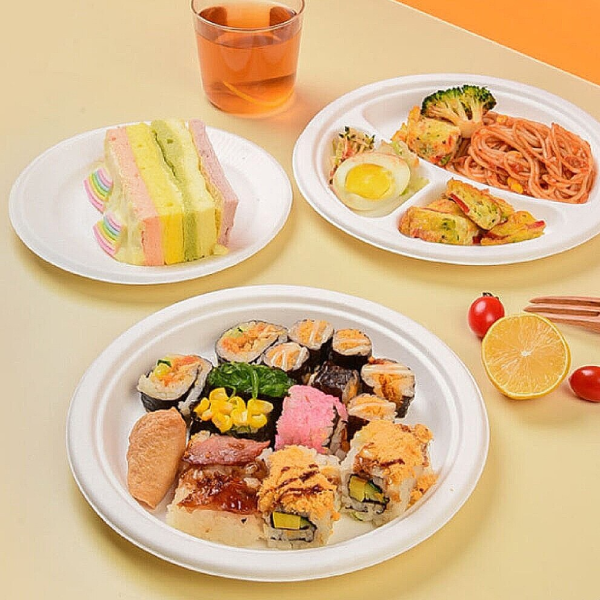 Đĩa bã mía phân hủy sinh học KOKUSAI 9IN - 180831 (22,68cm)