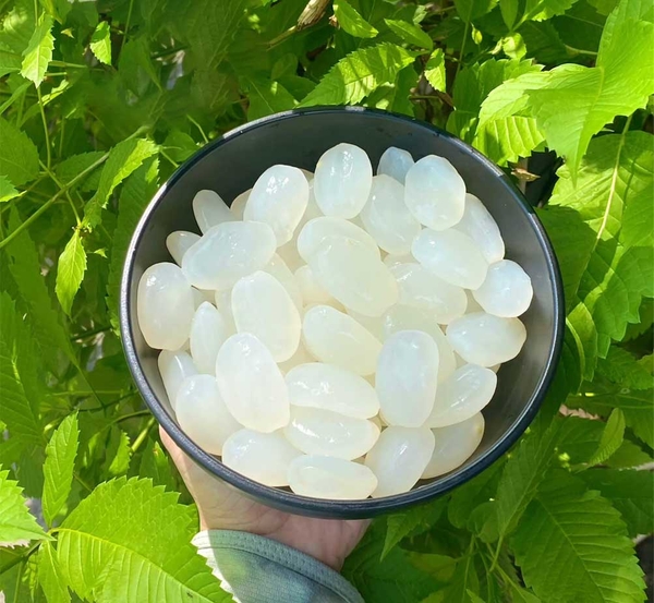 Hạt đác tươi 1kg