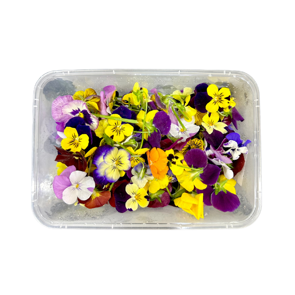 Hoa Bướm Viola Mixed Edible Flowers hoa tươi trang trí bánh 12g