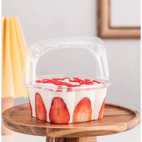 [Thùng] Hộp nhựa nắp gập  HY-09 [50c/lốc, 600c/thùng)